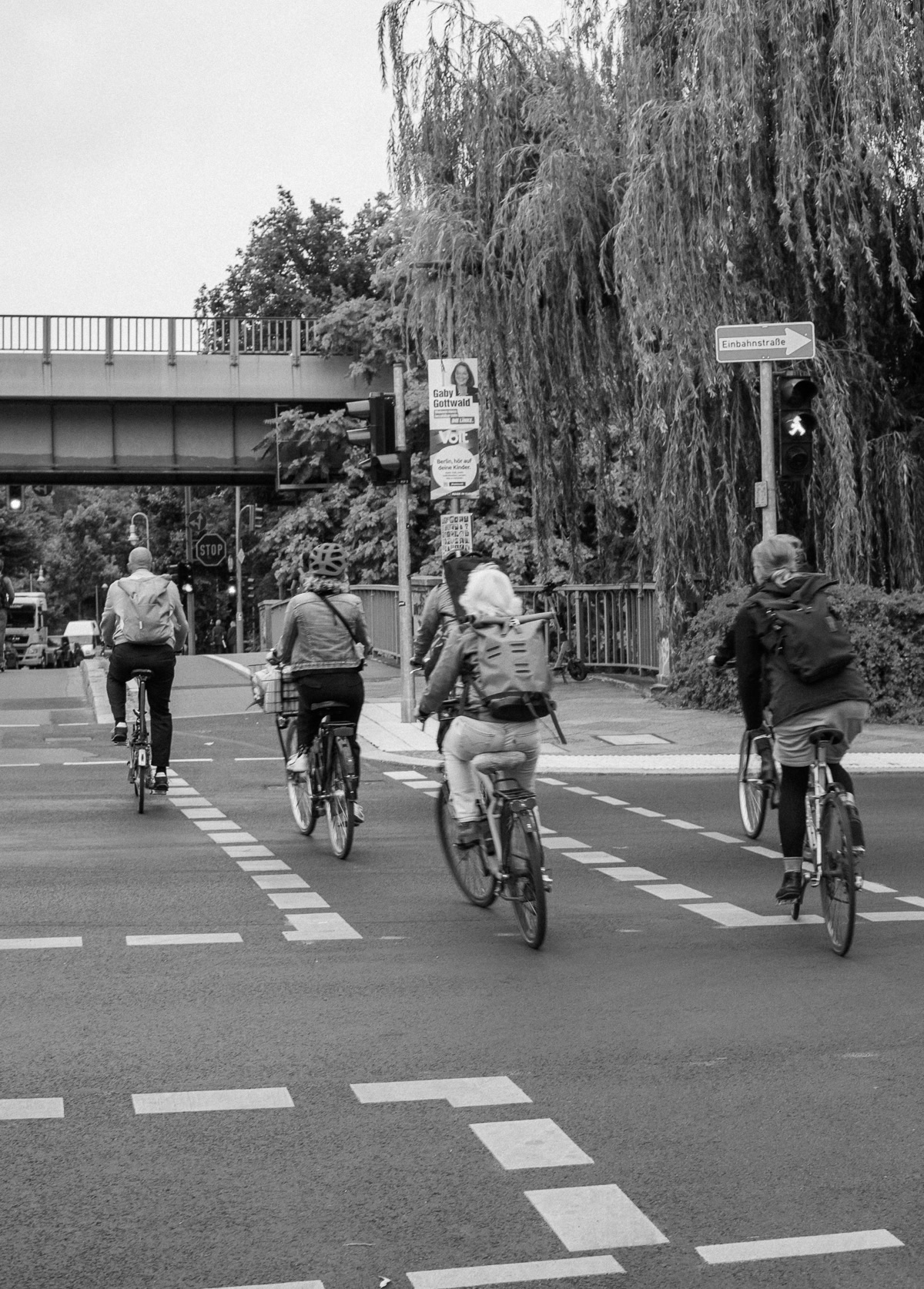 Fünf Radfahrende radeln über eine Straße. Man sieht sie von Hinten. Es sind Frauen und Männer, die hintereinander fahren.